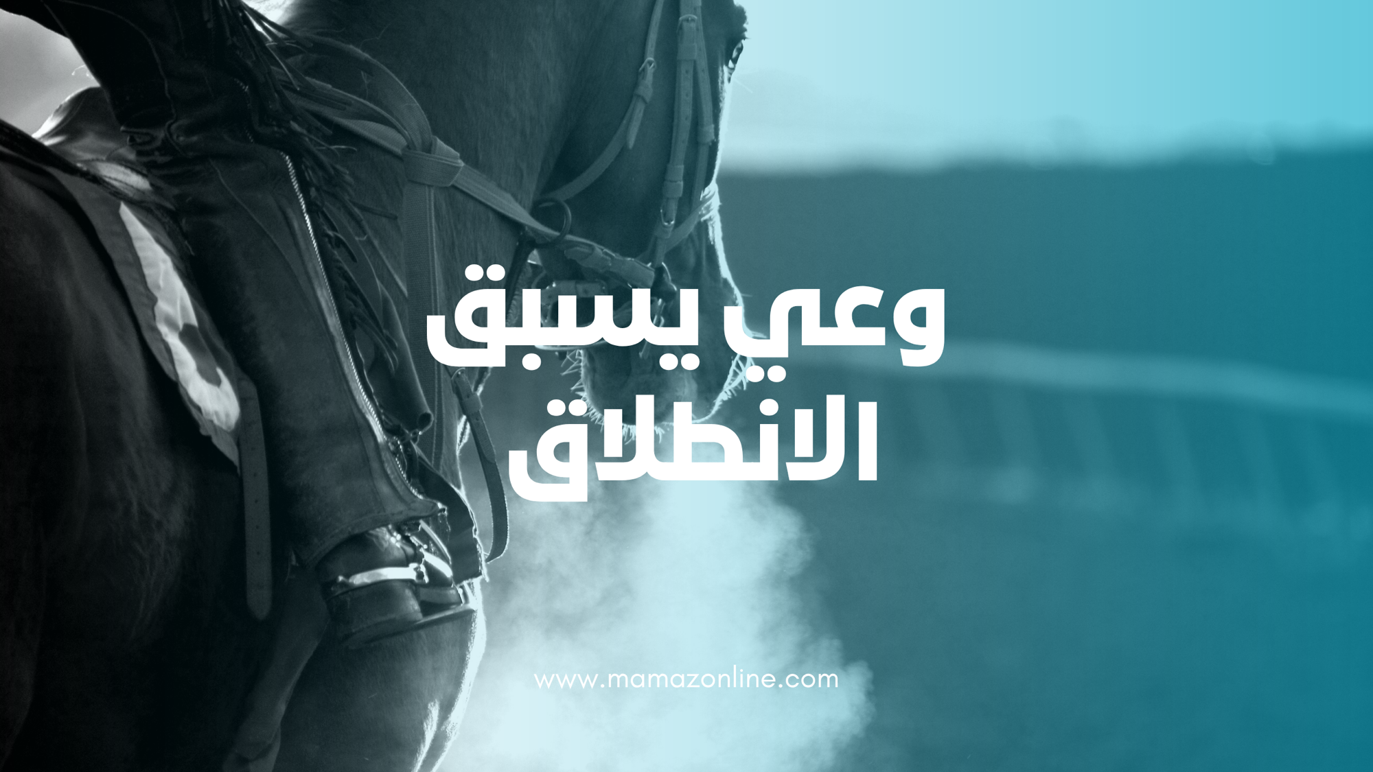 بين منحةٍ تُغريك، وشريكٍ يضغطك، وسوقٍ يختبرك، يكمن القرار الذي يحدد مصيرك الريادي